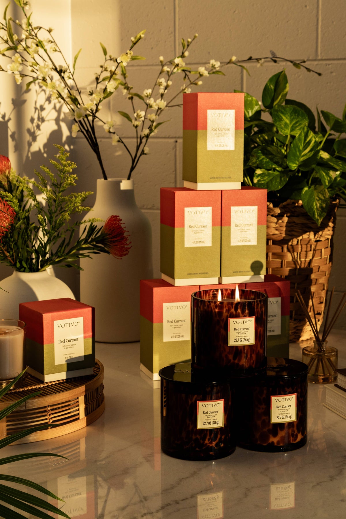 Red Currant Tortoise Candle
