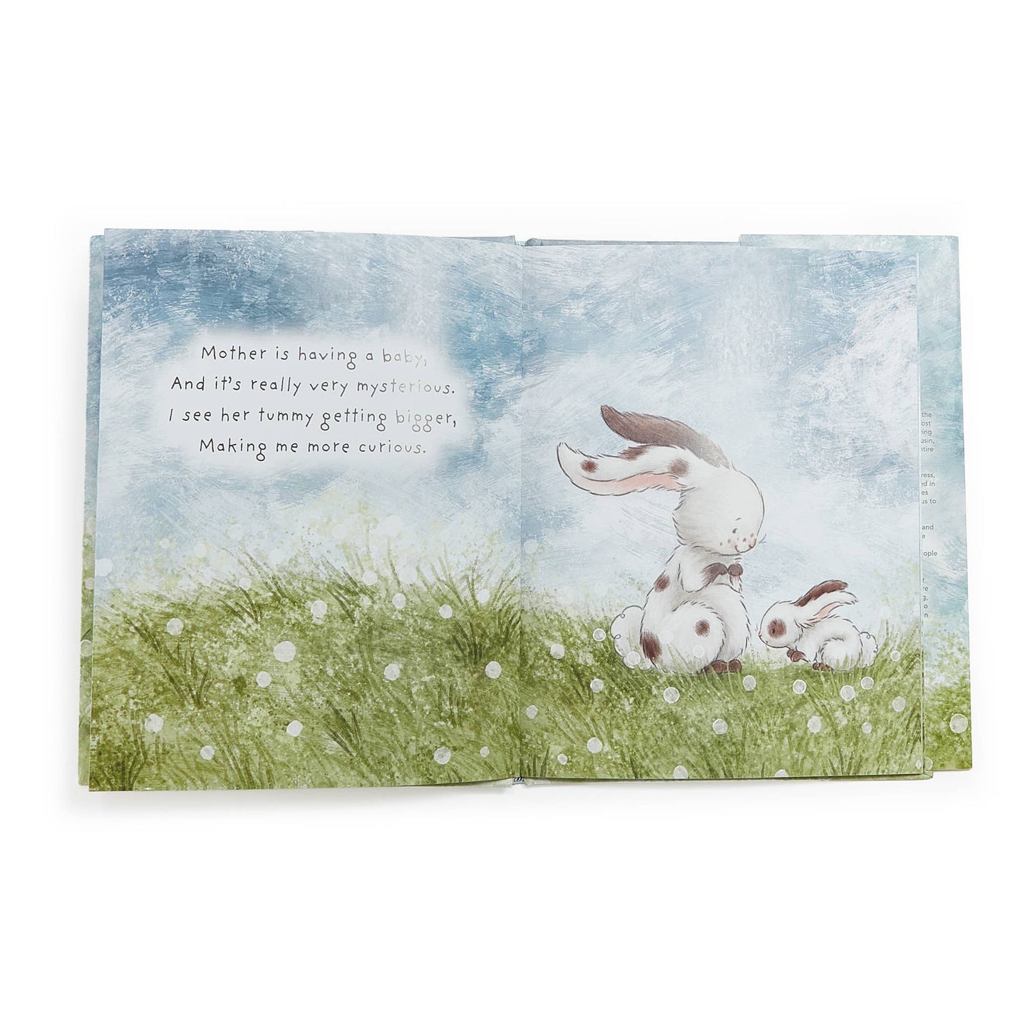 Who Will Our New Baby Be? Story Book