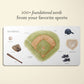 Our Book Of Sports First Words