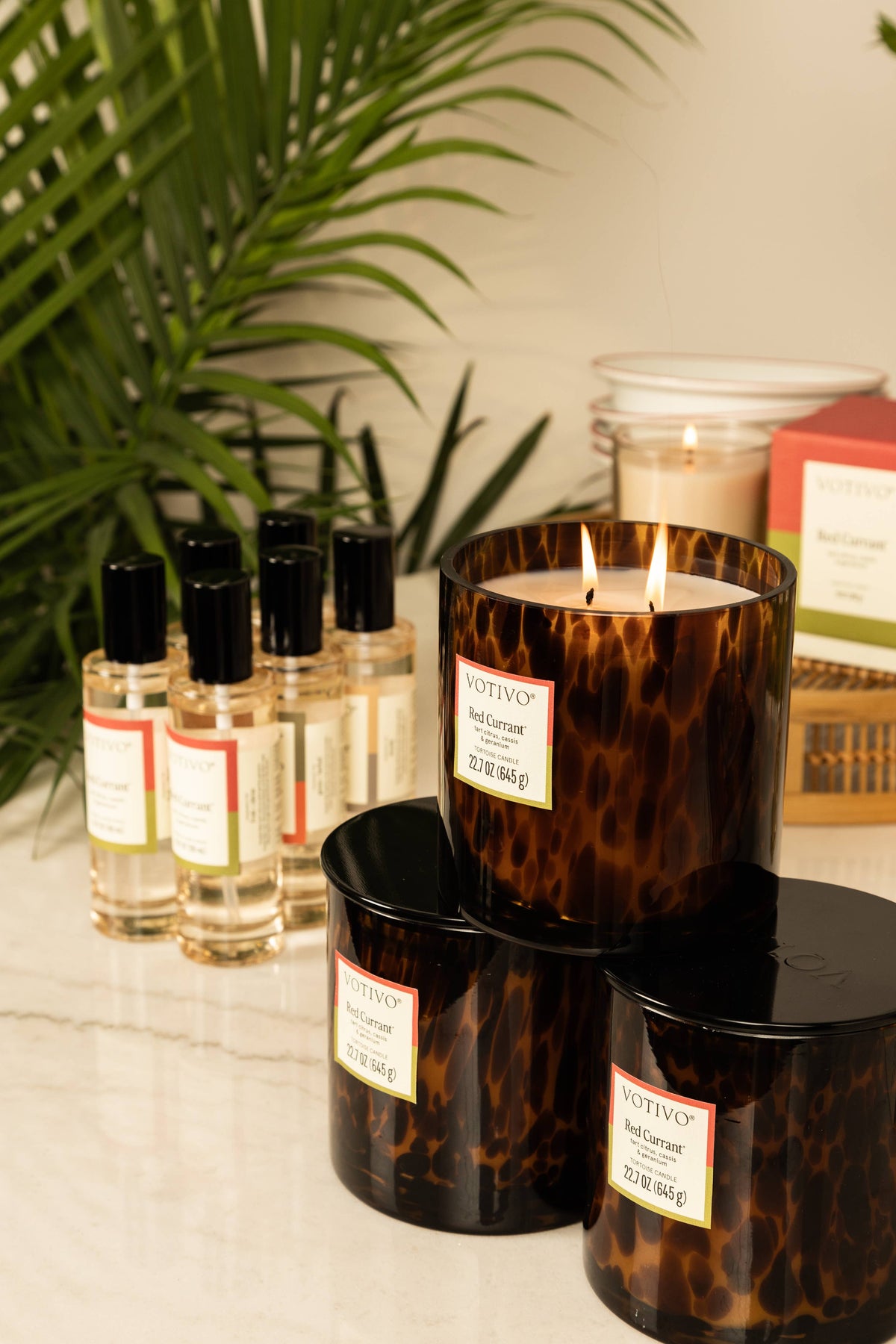 Red Currant Tortoise Candle