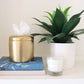 The Coco Tissue Vessel