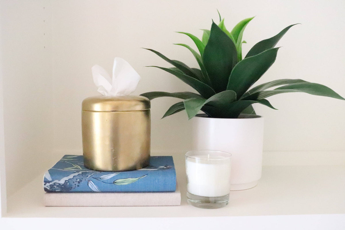 The Coco Tissue Vessel