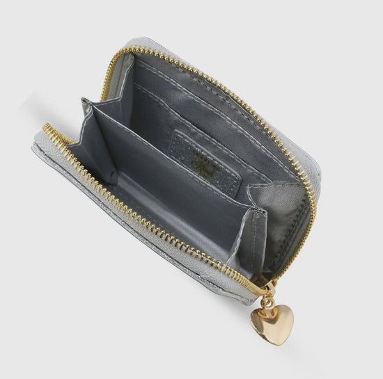 Carrying Kind Sprinkle Kindness Confetti Wallet- Silver