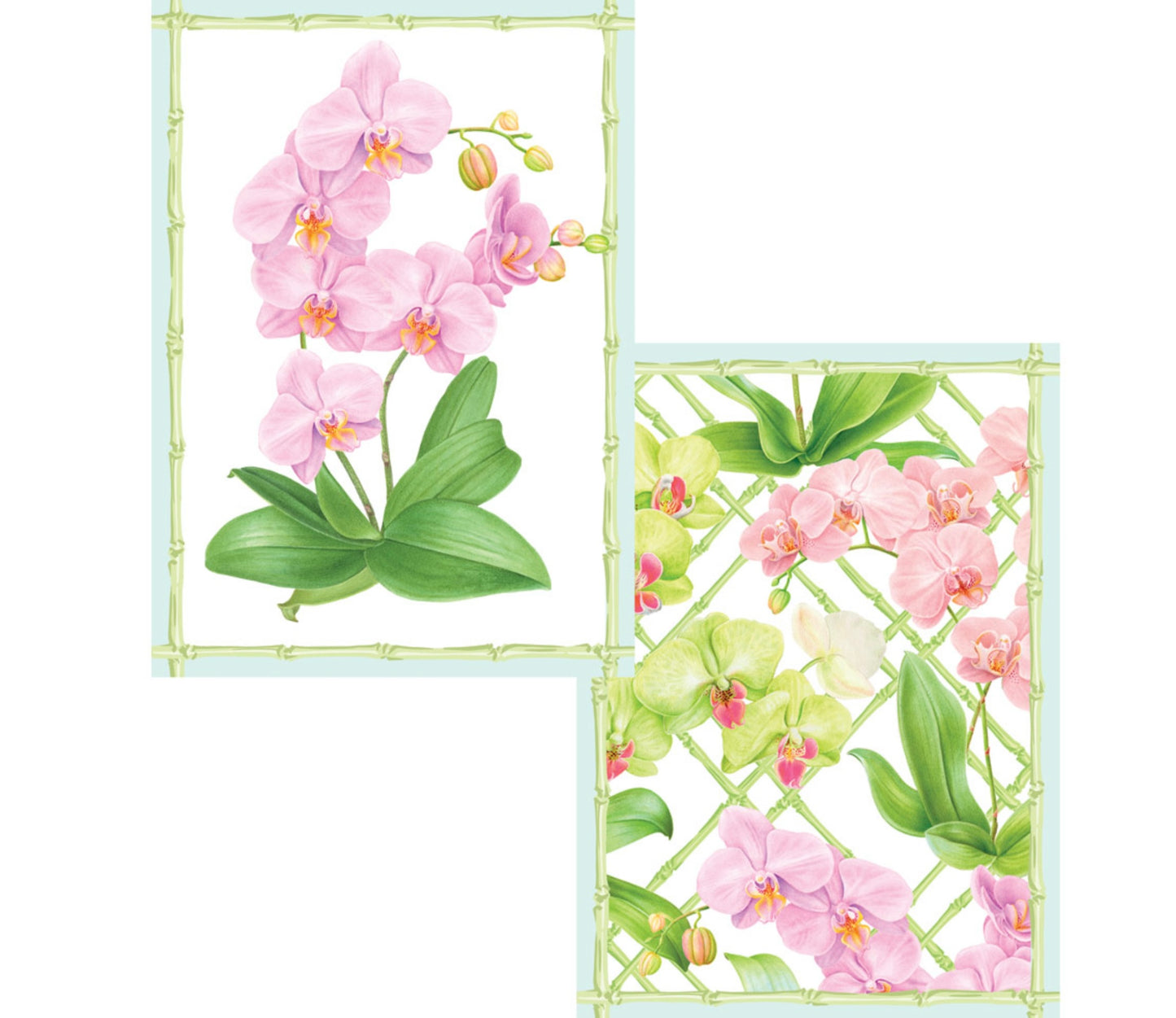 Orchid Conservatory Notecards