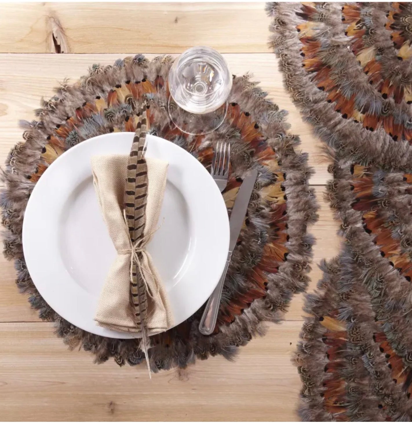 Pheasant Park Set of 6 Round Decorative Mats - Pheasant Feathers