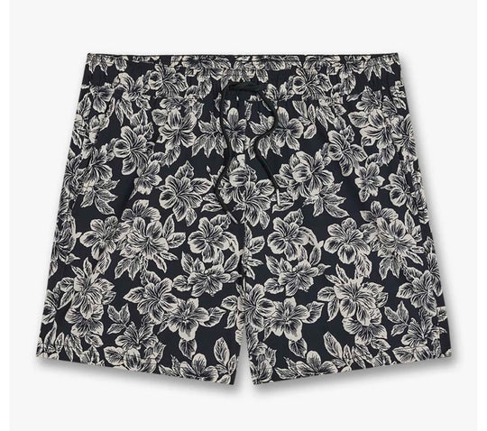 Bungalow Trunk