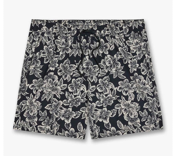 Bungalow Trunk