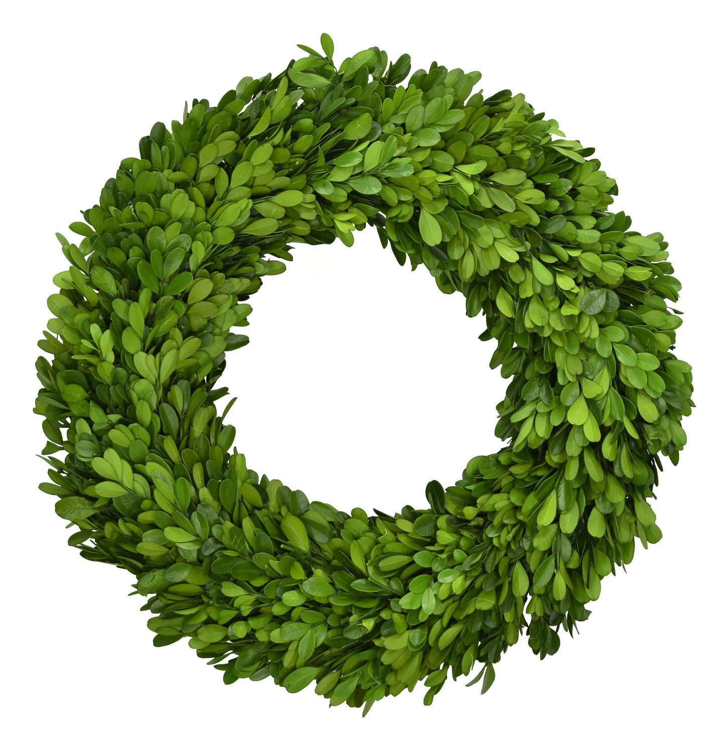 14” Preserved Boxwood Country Manor Wreath