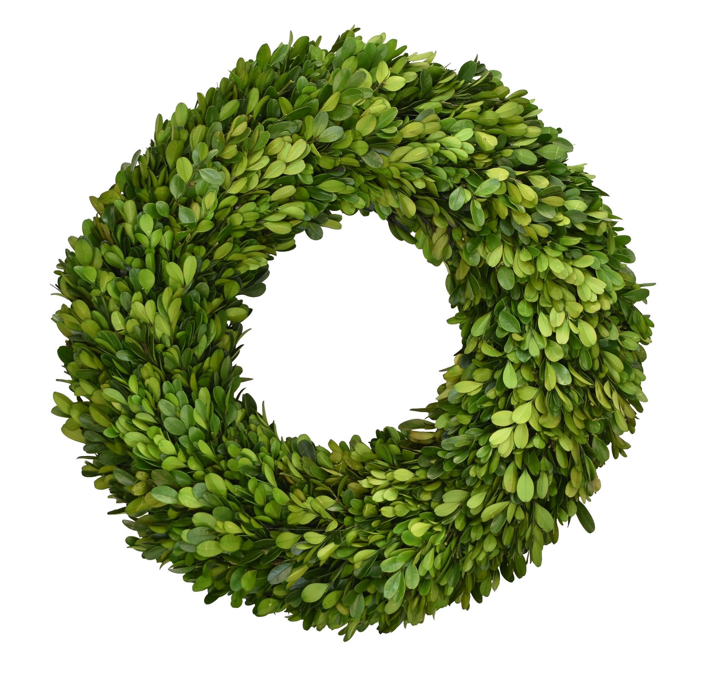 16” Preserved Boxwood Wreath