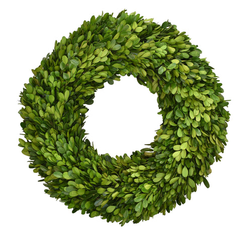 16” Preserved Boxwood Wreath