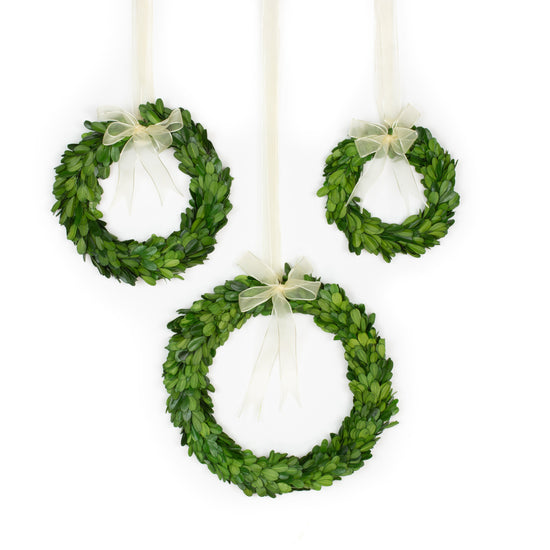 Preserved Boxwood Wreath (set of 3)
