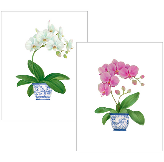 Embossed Potted Orchids Notes 10-pk
