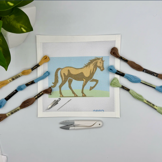 Needlepoint Kit