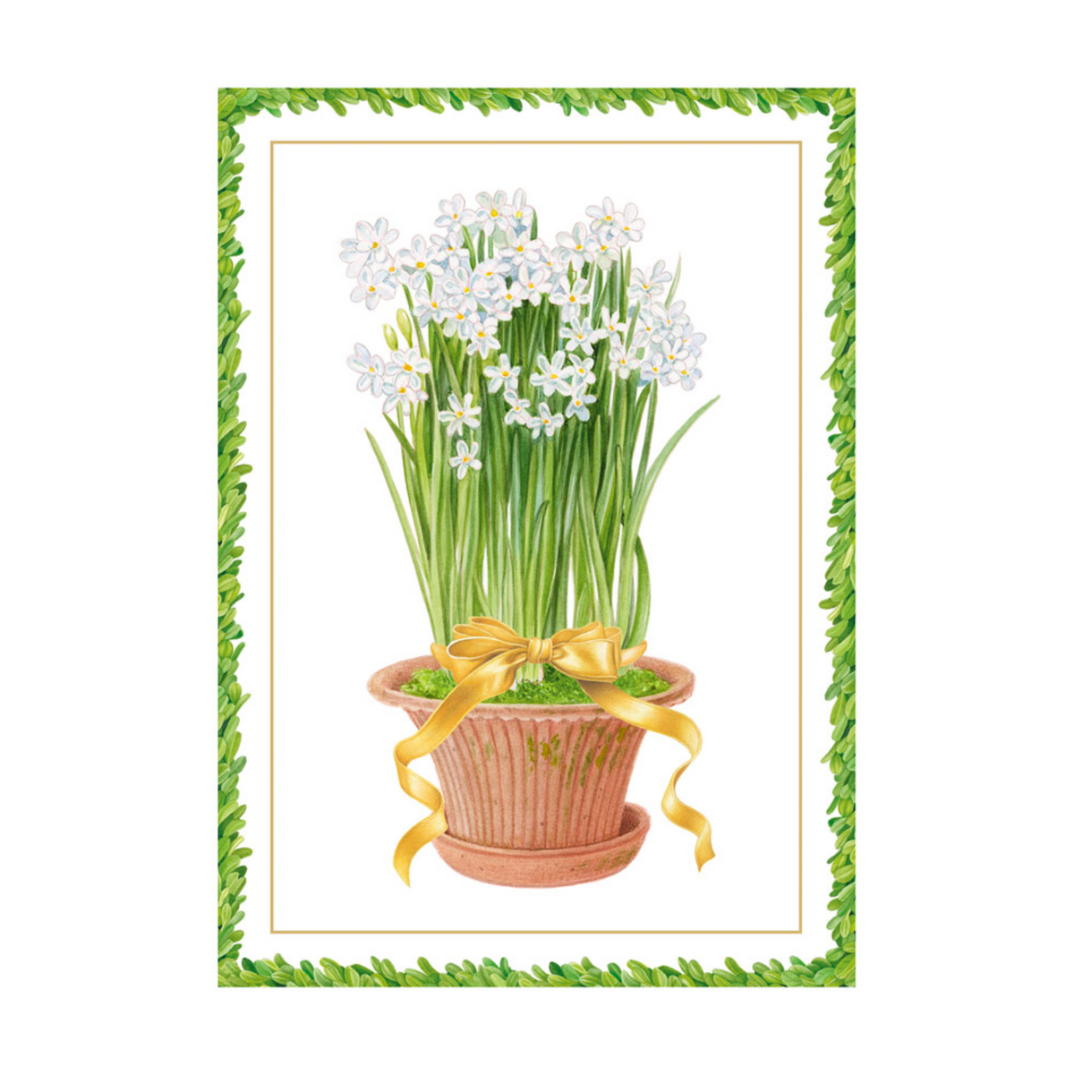 Potted Narcissus Small Boxed Christmas Cards