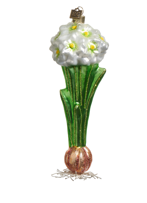 Paperwhite Bulb Ornament